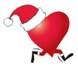 Amy's Santa Fun Run